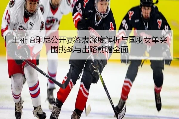 wang-zhi-yi-yin-ni-gong-kai-sai-qian-biao-shen-du-jie-xi-yu-guo-yu-nv-dan-tu-wei-tiao-zhan-yu-chu-lu-qian-zhan-quan-mian-2-937.jpg